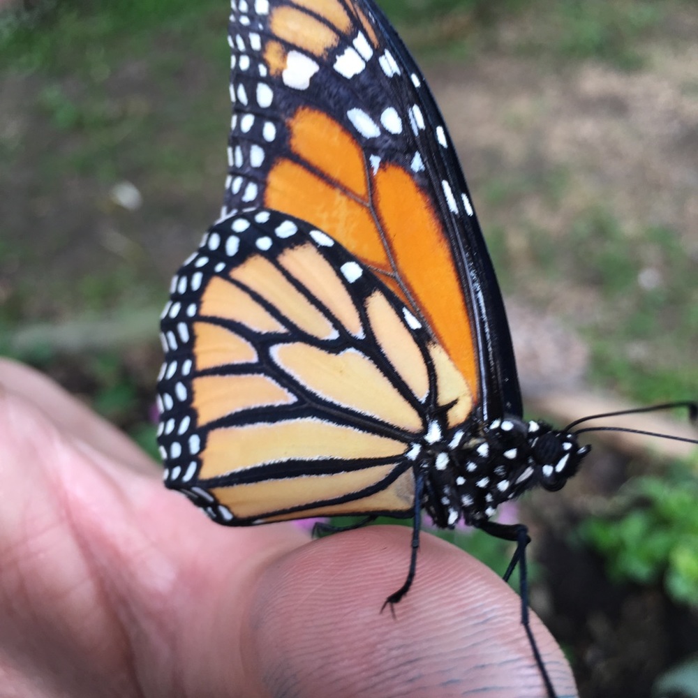 We are here to serve & spread God’s love. - Picture 11 of 15